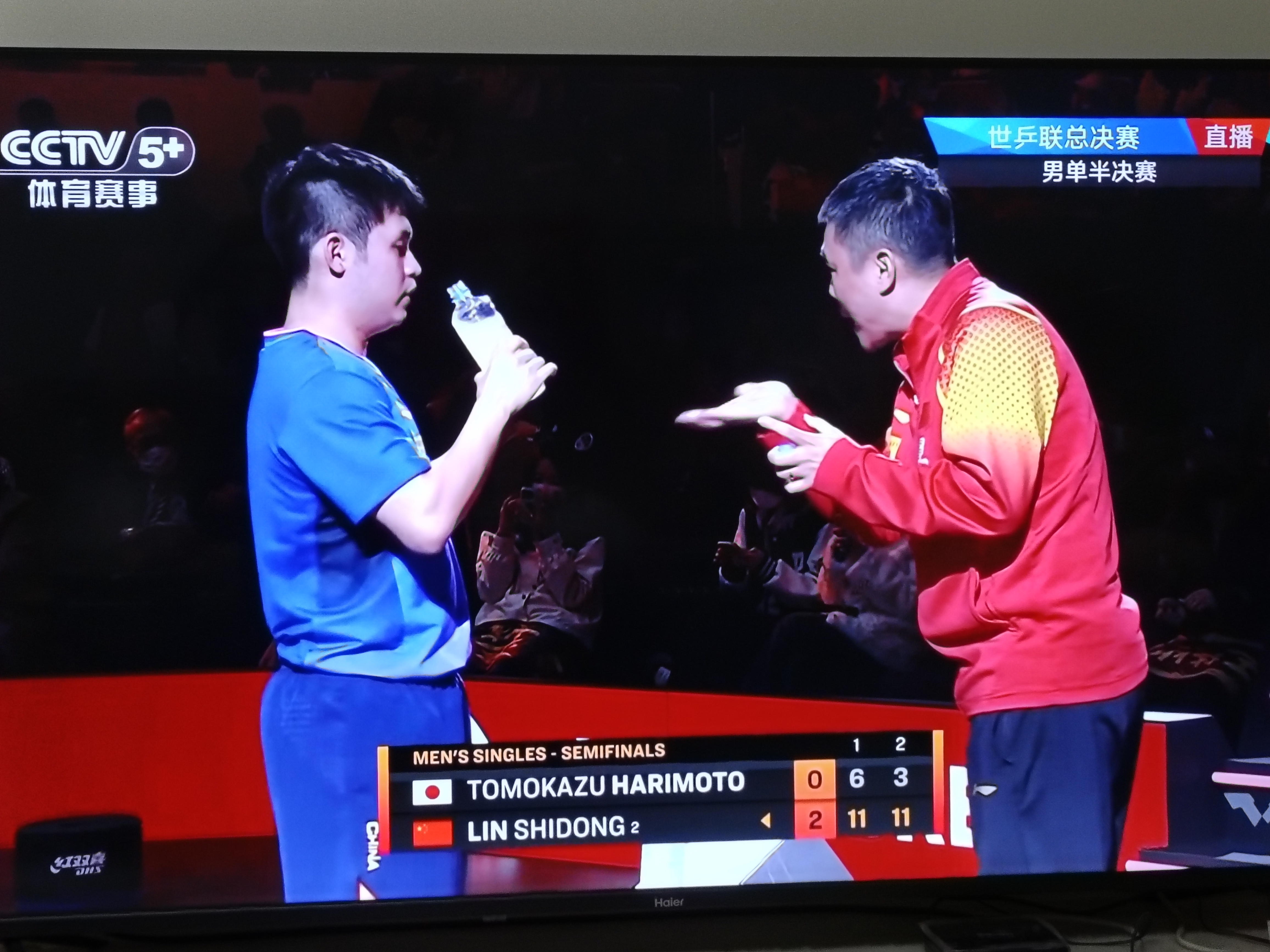 德国队完胜韩国队，张本智和统治全场