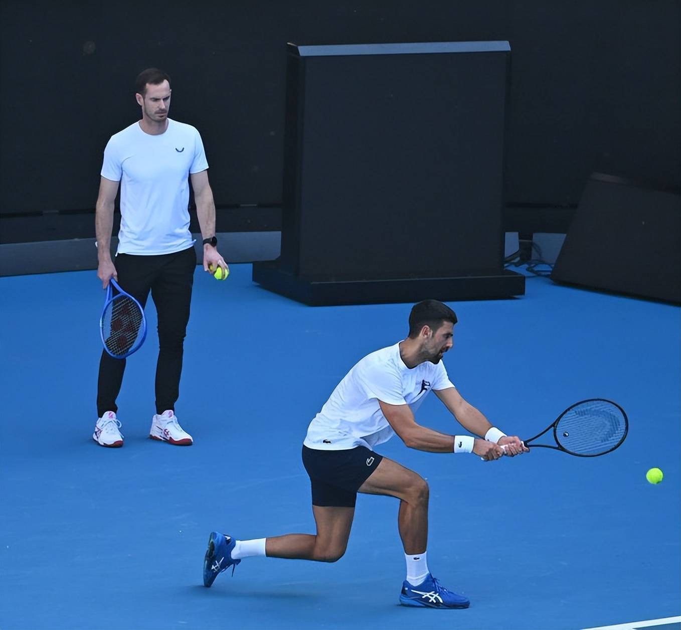 澳网鏖战法网,穆雷刷新纪录 澳网鏖战法网,穆雷刷新纪录