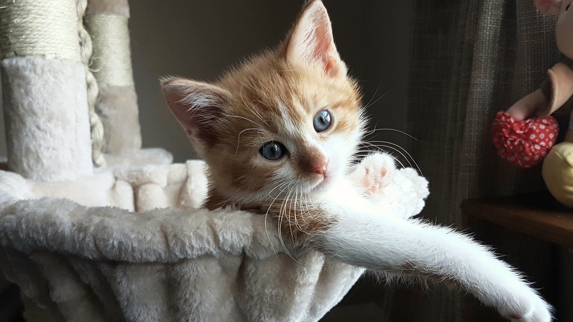 开云体育app-当独行侠坠入防守森林，步行者如何用戈贝尔法则绞碎单打神话