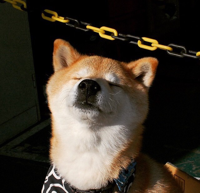 开云体育登录-垂直空间的神奇维度，鹈鹕战术压制与库里关键一击