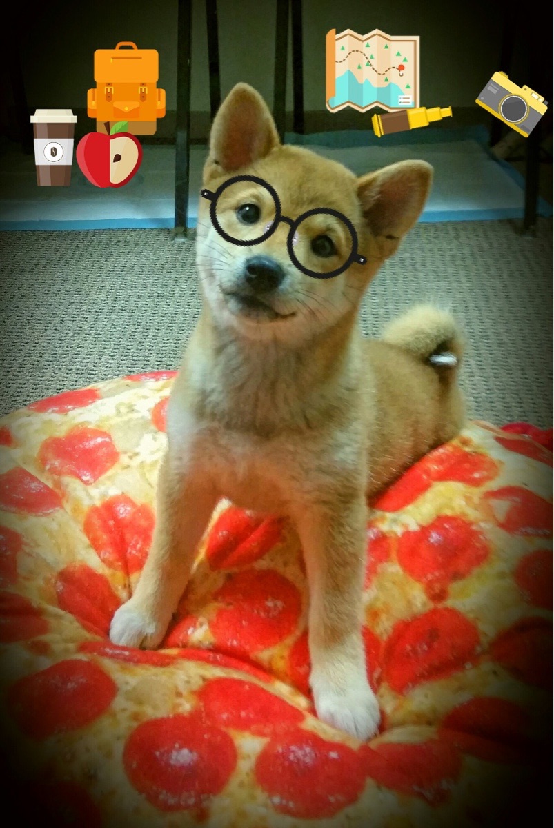 当丹佛高原遇上天山脚下，约基奇评分拉满之夜，尼克斯跨越半球客场击败新疆