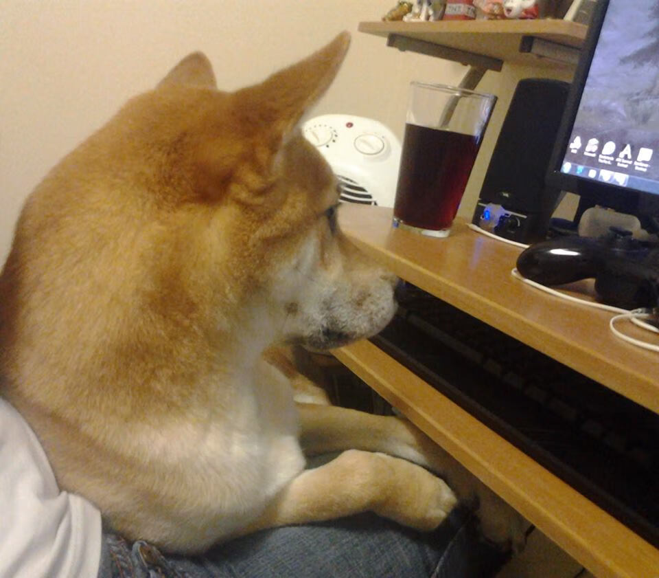 最小星辰的最亮夜晚，范弗利特的抢七神话