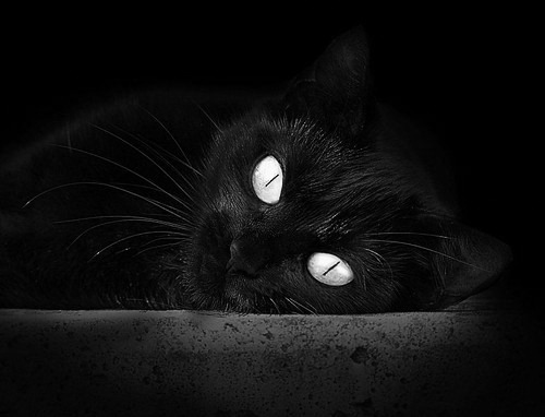 跨越赛场的统治力,从米切尔的末节风暴到哈登的奥运接管时刻