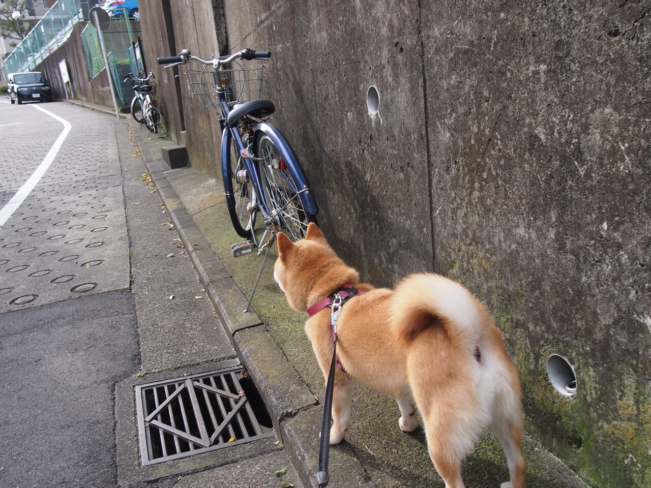 当秩序崩塌时，唯一比赛定义者的诞生