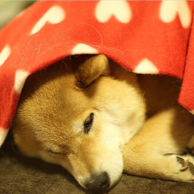 用詹姆斯的方式终结悬念，英超争冠夜，谁掌控了命运的棋盘？