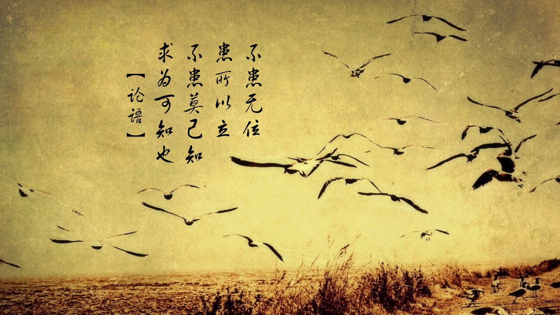 数据王者与空间革命,当戈贝尔虚拟统治CBA内线