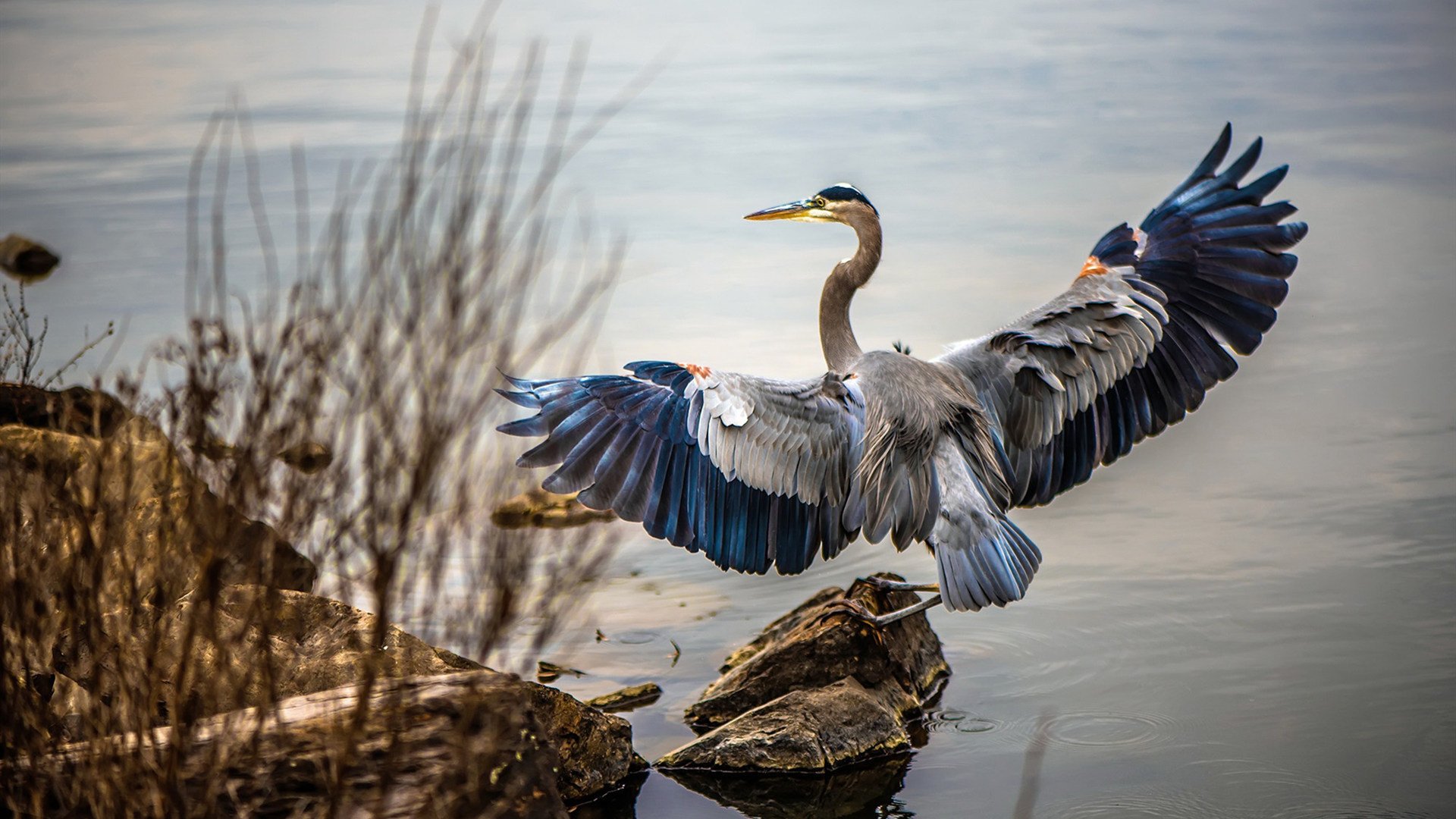 锋芒与铁壁,奥亚尔萨瓦尔的锐利撕扯,马竞的体系化压制