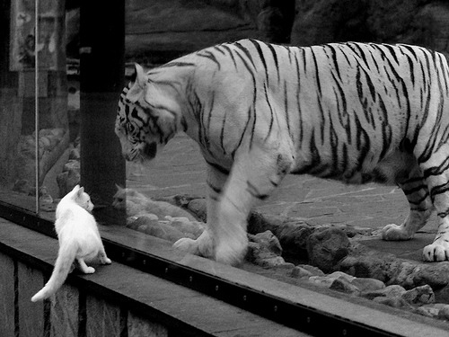 末节决胜!浓眉接管关键时刻 热火窒息攻防带走湖人