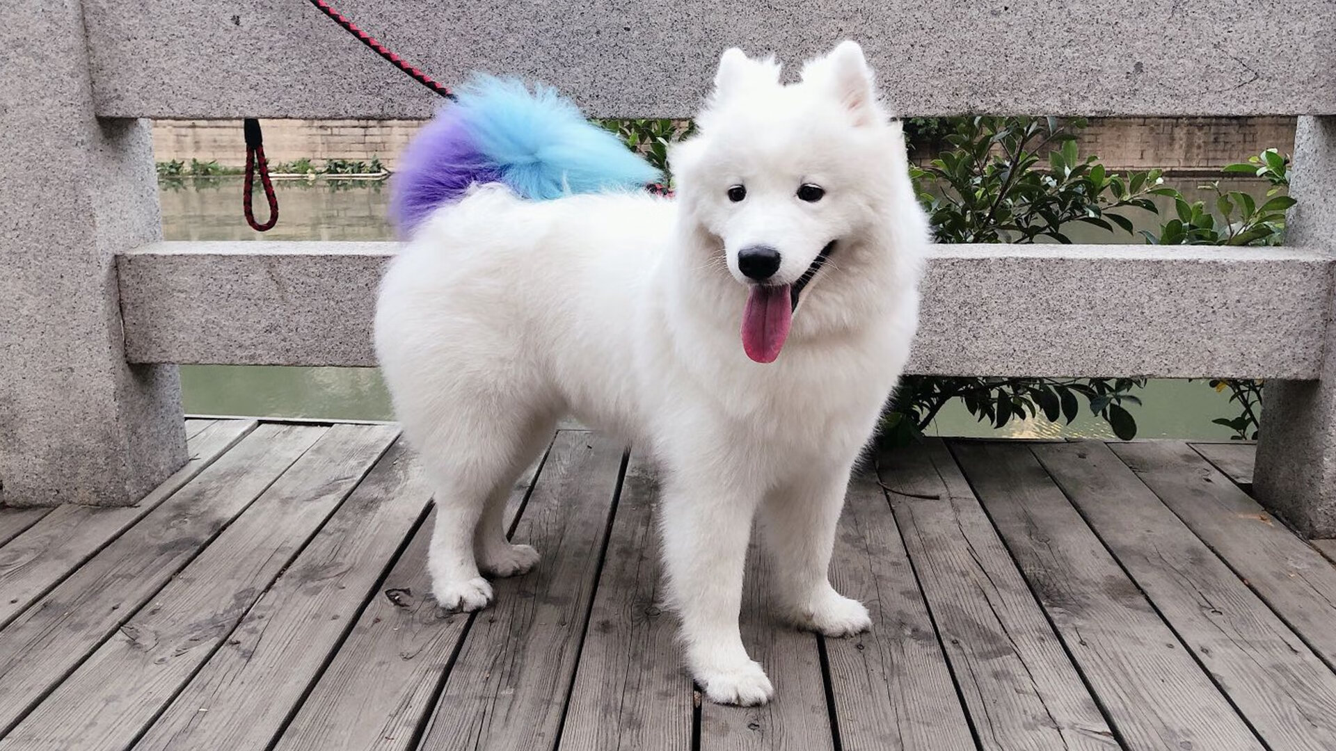 2024，阿拉巴以完美防守成就法国晋级，曼联却看见2018瓦拉内的影子