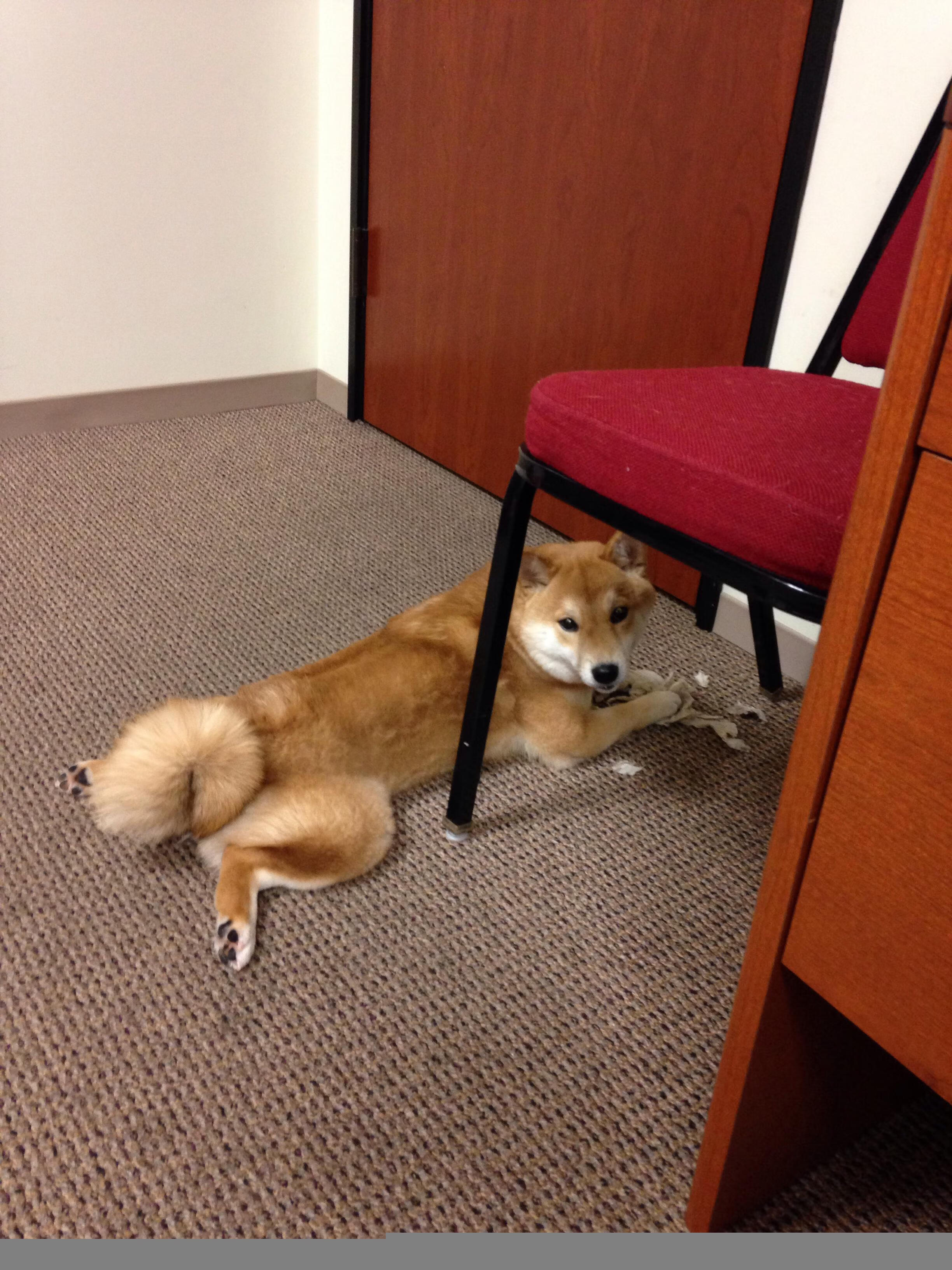 双重终场哨，当布雷默摧毁悬念，中国重写那不勒斯记忆